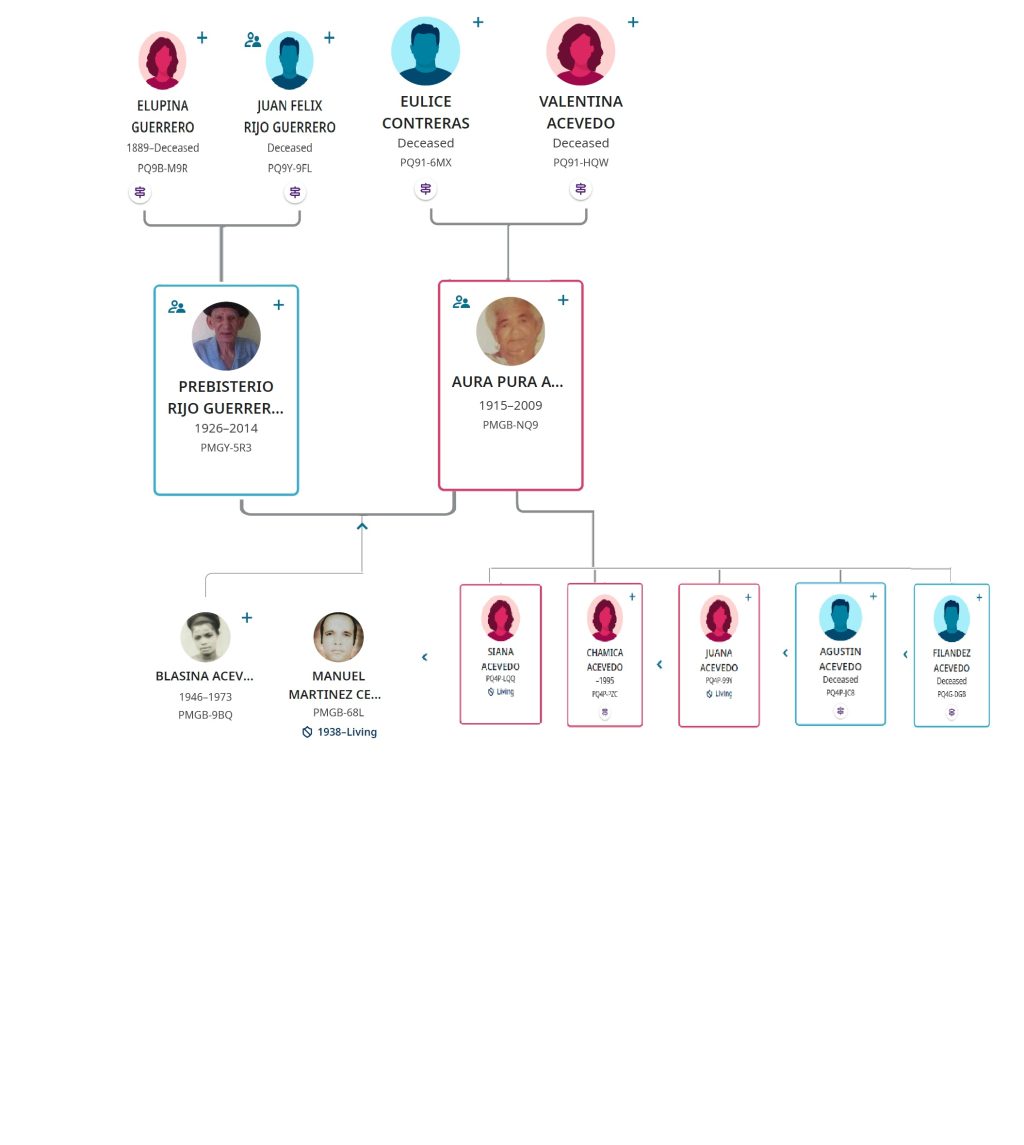 DESCENDENCIA DE PURA ACEVEDO