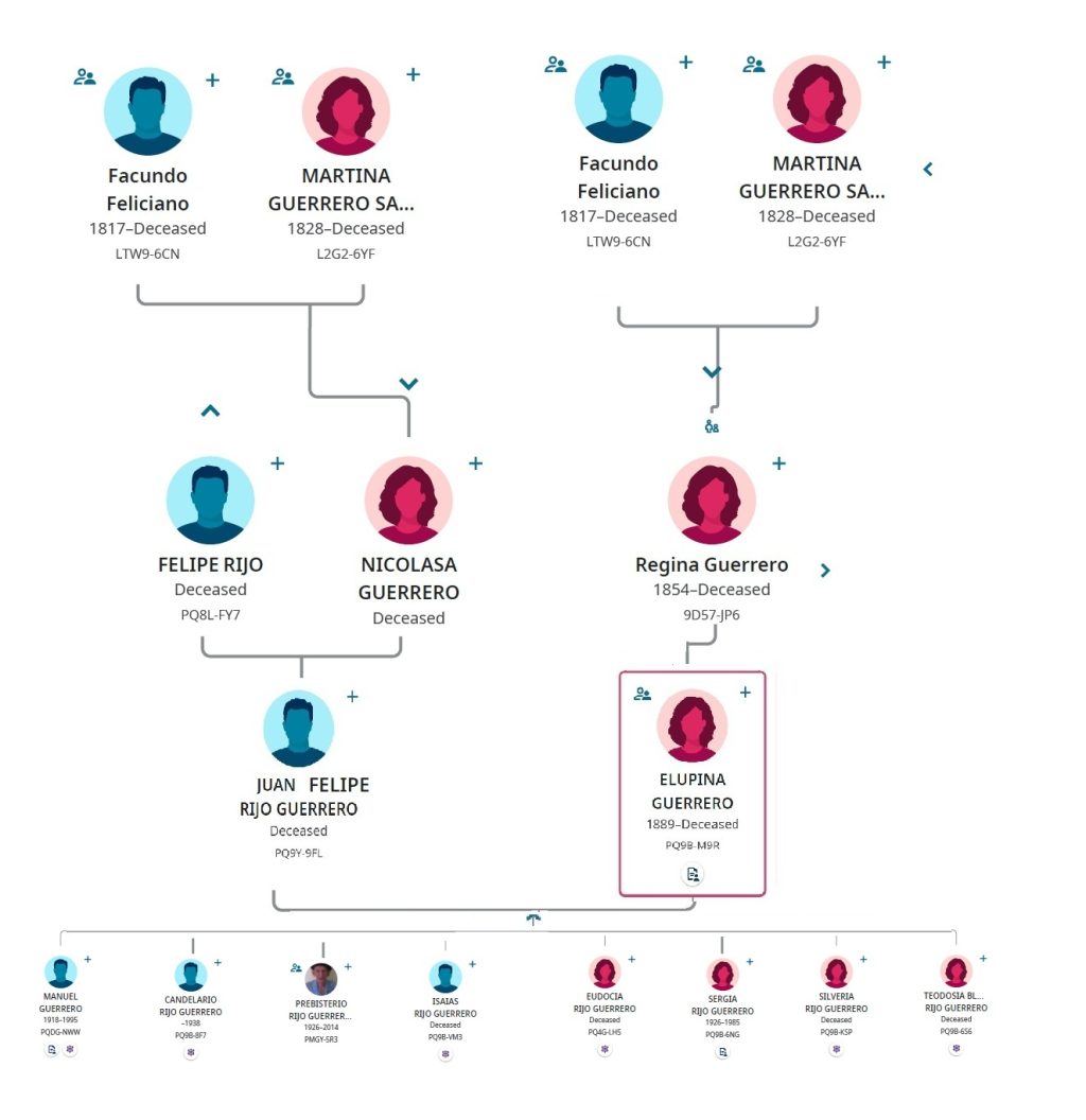 JUAN FELIPE RIJO Y ELUPINA GUERRERO TREE