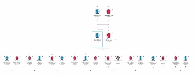 Pedro Guerrero (1807–Deceased) • Fanchart View • Family Tree -completo