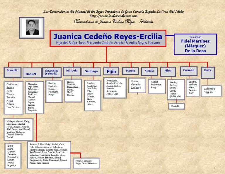 JUANICA CEDENO REYES