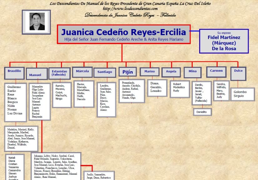 JUANICA CEDENO REYES