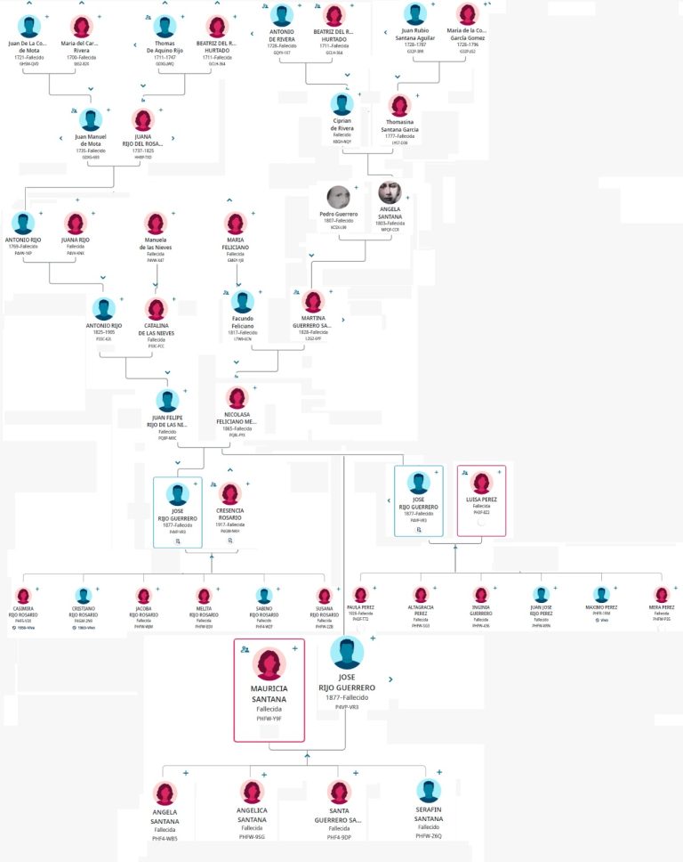 Jose Rijo Guerrero Tree