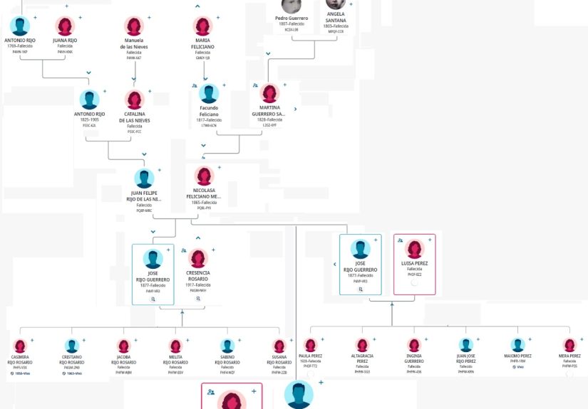 Jose Rijo Guerrero Tree