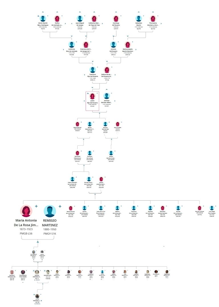 MARIA ANTONIA DE LA ROSA JIMENEZ TREE