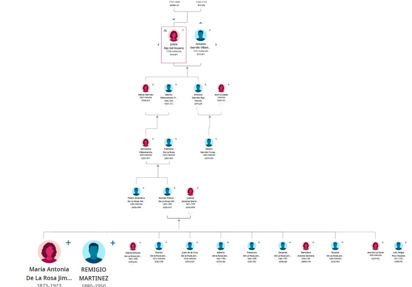MARIA ANTONIA DE LA ROSA JIMENEZ TREE